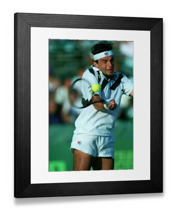 Framed Print : Emilio Sanchez