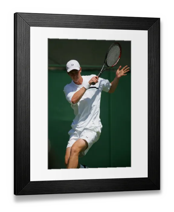 Framed Print : Andy Murray Framed Print : Andy Murray