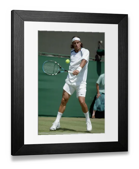 Framed Print : Feliciano Lopez Framed Print : Feliciano Lopez