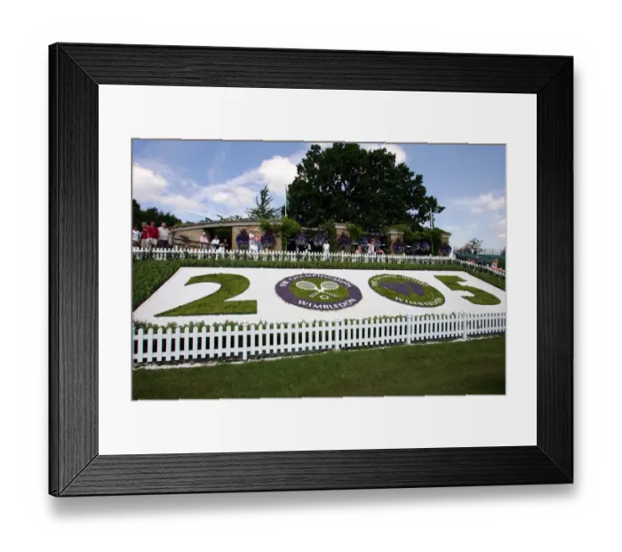 Framed Print : Flower Display Framed Print : Flower Display