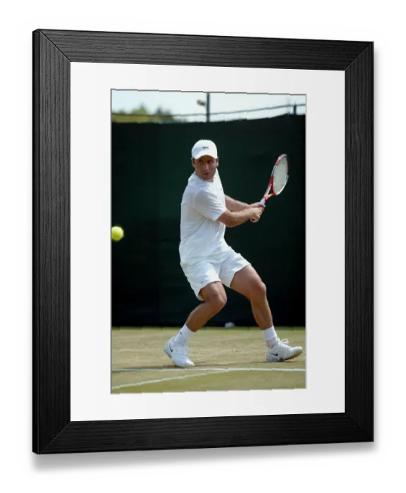 Framed Print : Fabrice Santoro