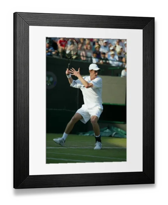 Framed Print : Andy Murray Framed Print : Andy Murray