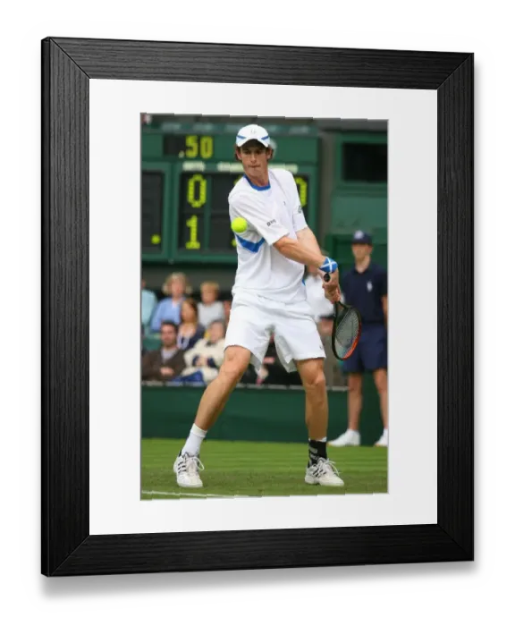 Framed Print : Andy Murray Framed Print : Andy Murray