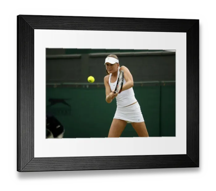 Framed Print : Daniela Hantuchova Framed Print : Daniela Hantuchova