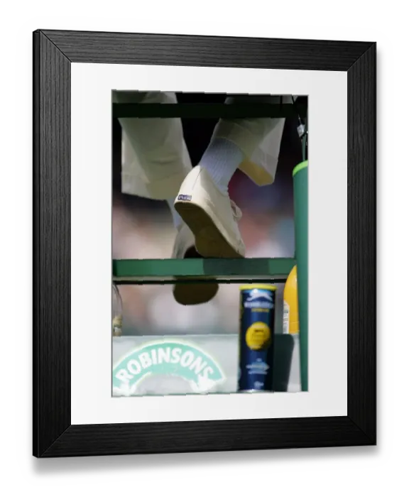 Framed Print : Umpires Chair Framed Print : Umpires Chair