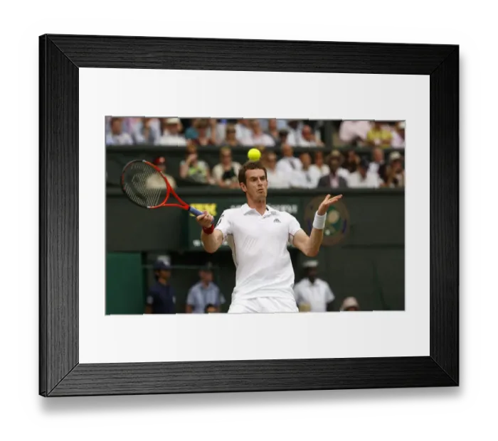 Framed Print : Andy Murray Framed Print : Andy Murray