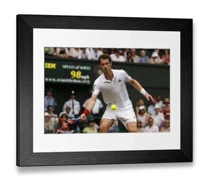Framed Print : Andy Murray Framed Print : Andy Murray