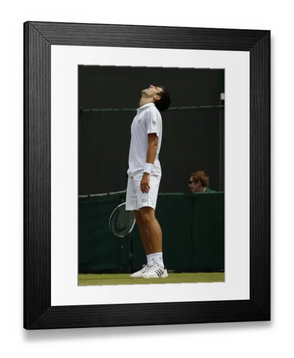 Framed Print : Novak Djokovic Framed Print : Novak Djokovic
