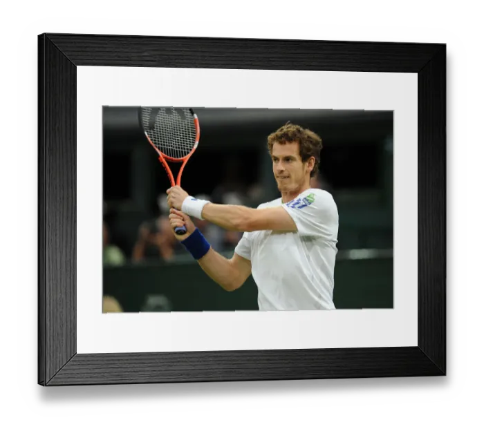 Framed Print : Andy Murray Framed Print : Andy Murray