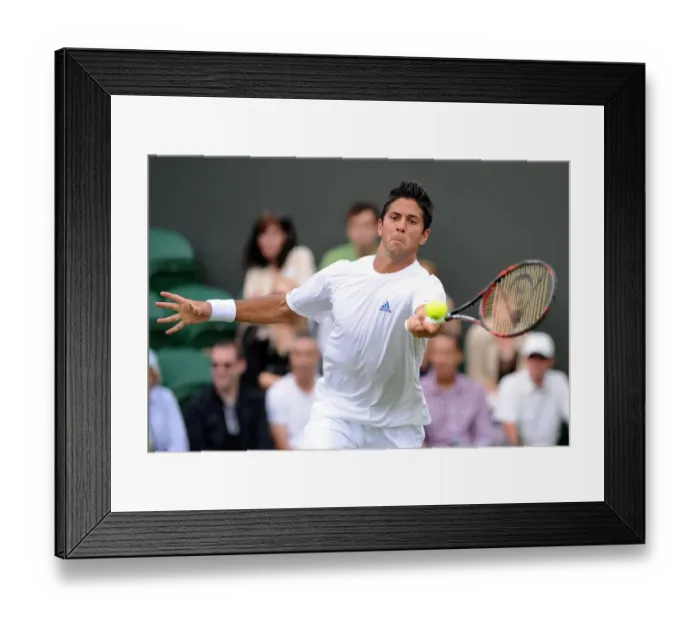 Framed Print : Fernando Verdasco Framed Print : Fernando Verdasco