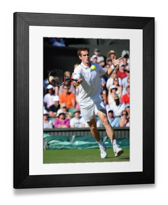 Framed Print : Andy Murray Framed Print : Andy Murray
