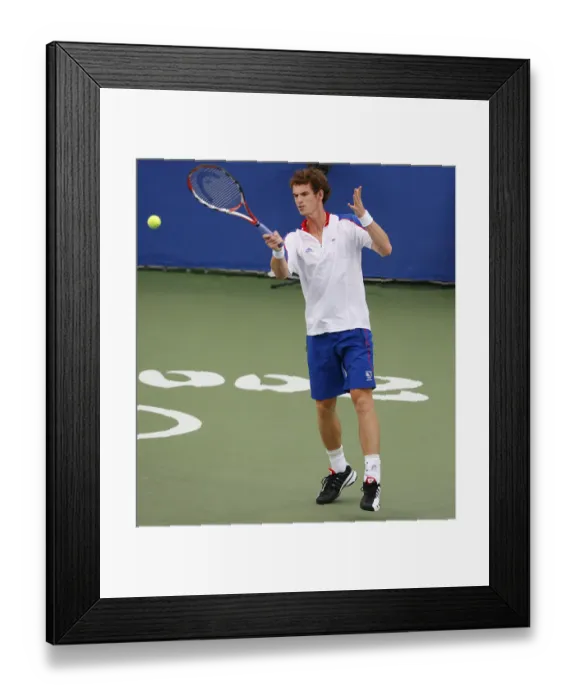 Framed Print : Andy Murray Framed Print : Andy Murray