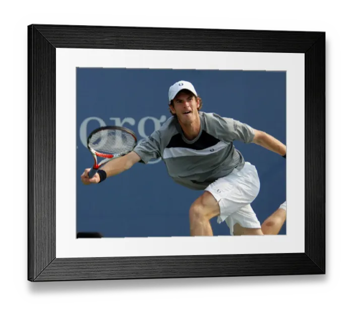 Framed Print : Andy Murray Framed Print : Andy Murray