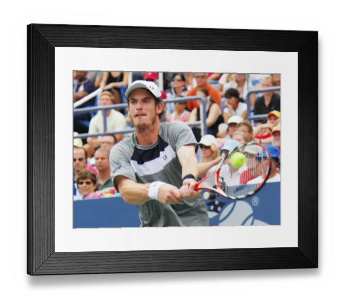 Framed Print : Andy Murray Framed Print : Andy Murray