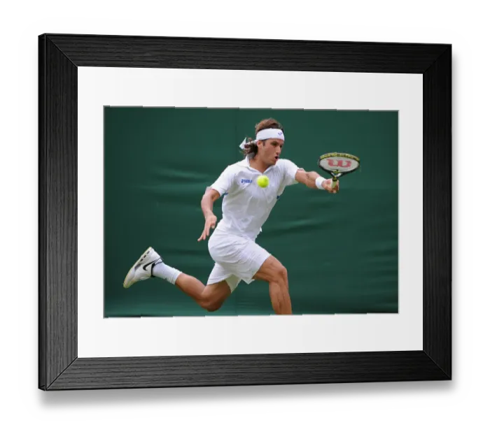 Framed Print : Feliciano Lopez Framed Print : Feliciano Lopez