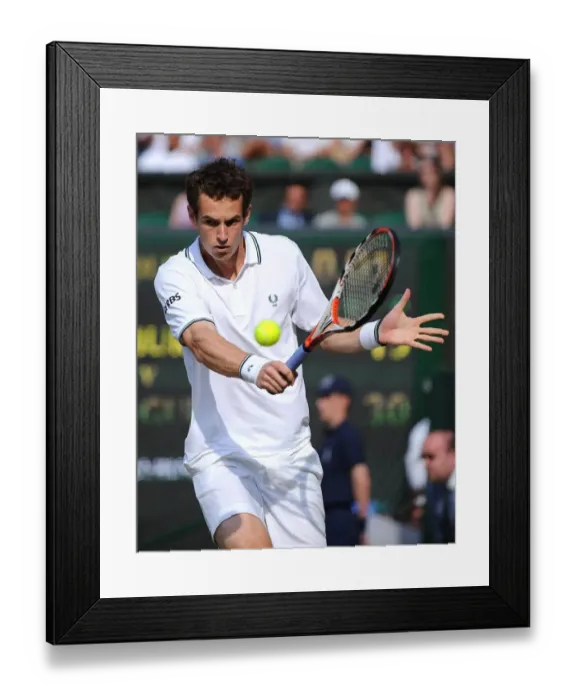 Framed Print : Andy Murray Framed Print : Andy Murray