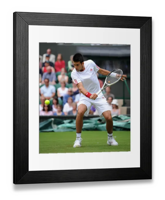 Framed Print : Novak Djokovic Framed Print : Novak Djokovic