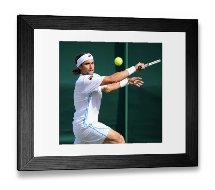 Framed Print : David Ferrer