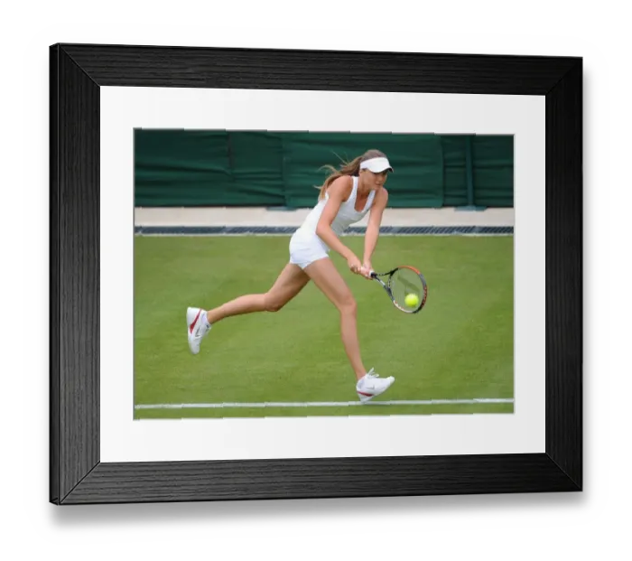 Framed Print : Daniela Hantuchova Framed Print : Daniela Hantuchova