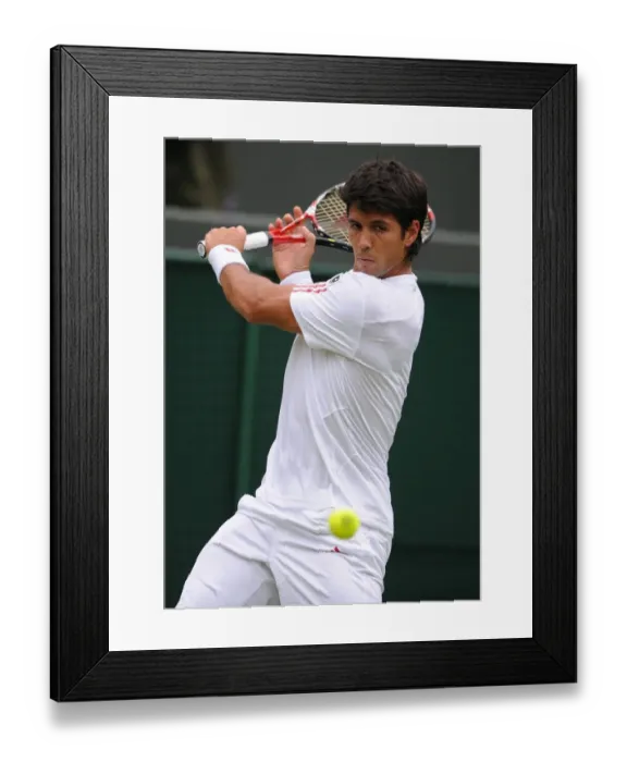 Framed Print : Fernando Verdasco Framed Print : Fernando Verdasco