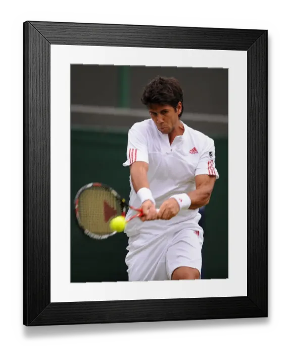 Framed Print : Fernando Verdasco Framed Print : Fernando Verdasco