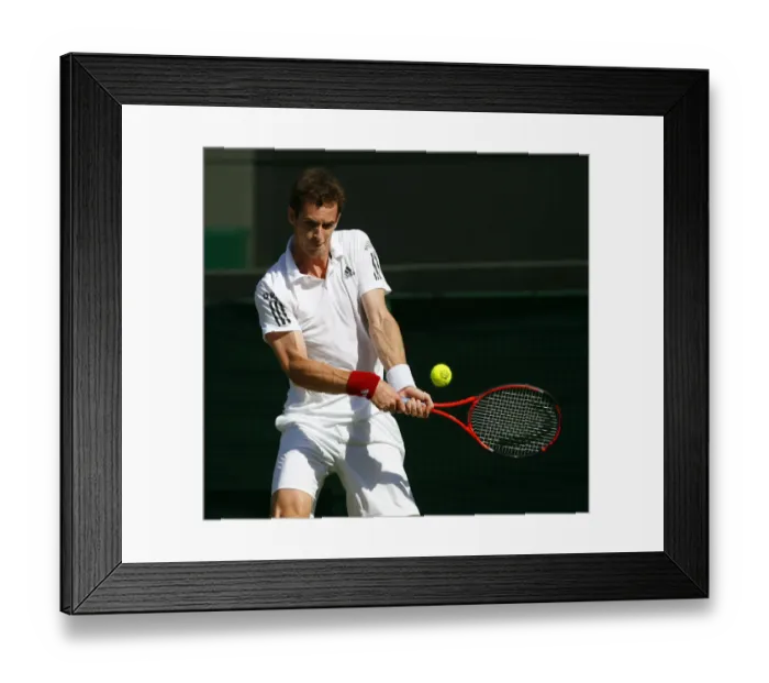 Framed Print : Andy Murray Framed Print : Andy Murray