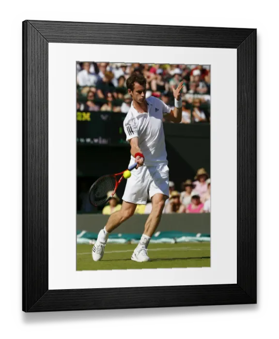 Framed Print : Andy Murray Framed Print : Andy Murray