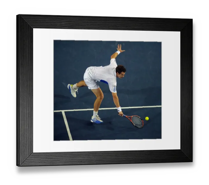 Framed Print : Andy Murray Framed Print : Andy Murray