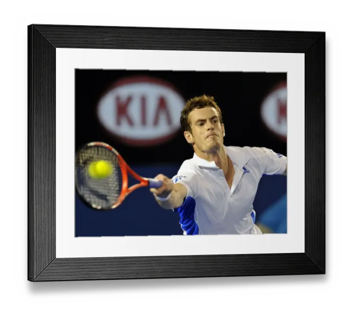 Framed Print : Andy Murray Framed Print : Andy Murray