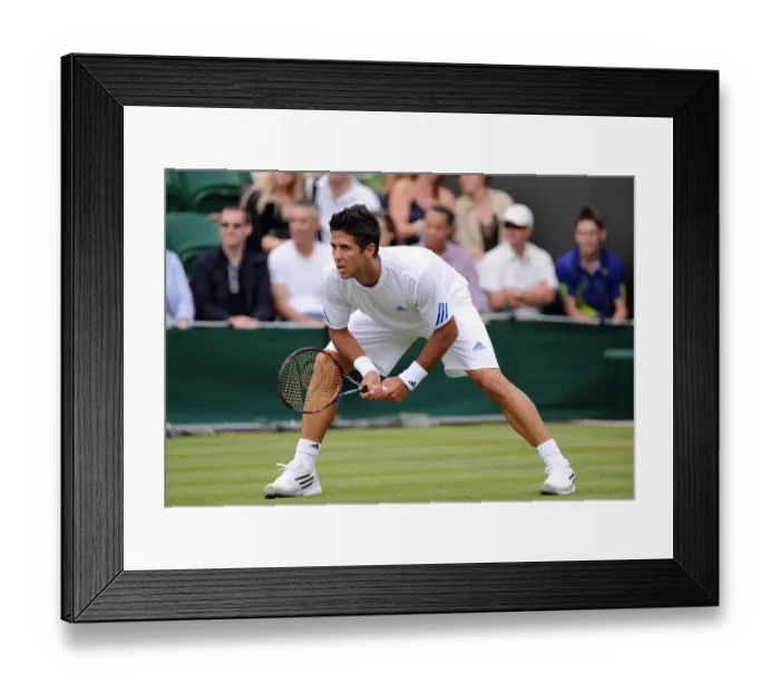 Framed Print : Fernando Verdasco Framed Print : Fernando Verdasco