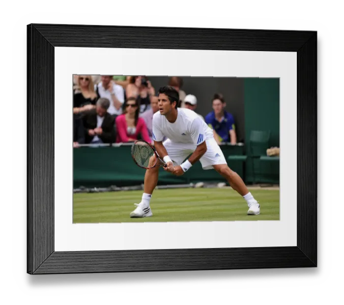 Framed Print : Fernando Verdasco