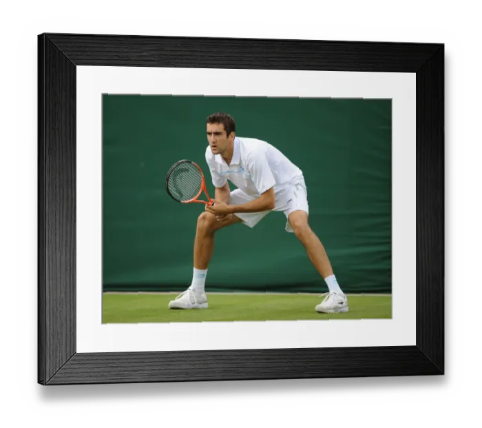 Framed Print : Marin Cilic Framed Print : Marin Cilic
