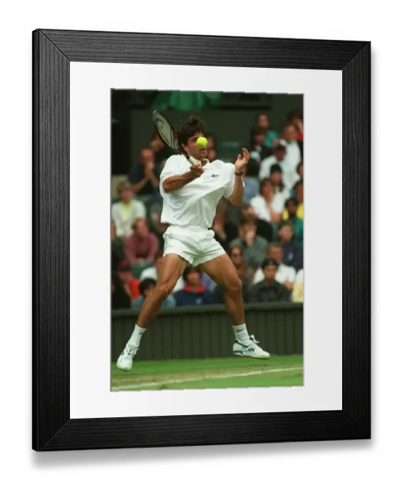 Framed Print : Javier Sanchez Framed Print : Javier Sanchez
