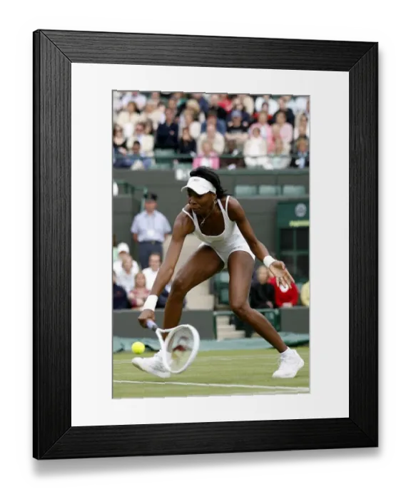 Framed Print : Venus Williams