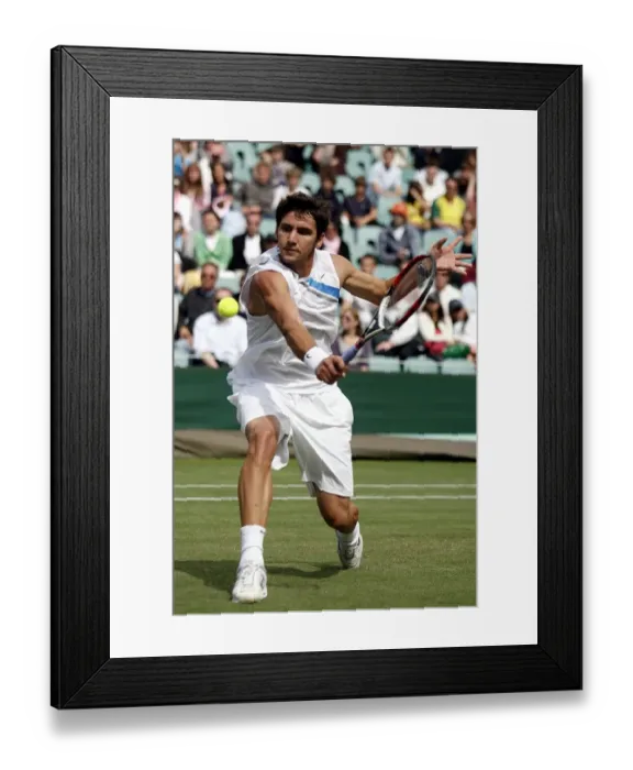 Framed Print : Amer Delic