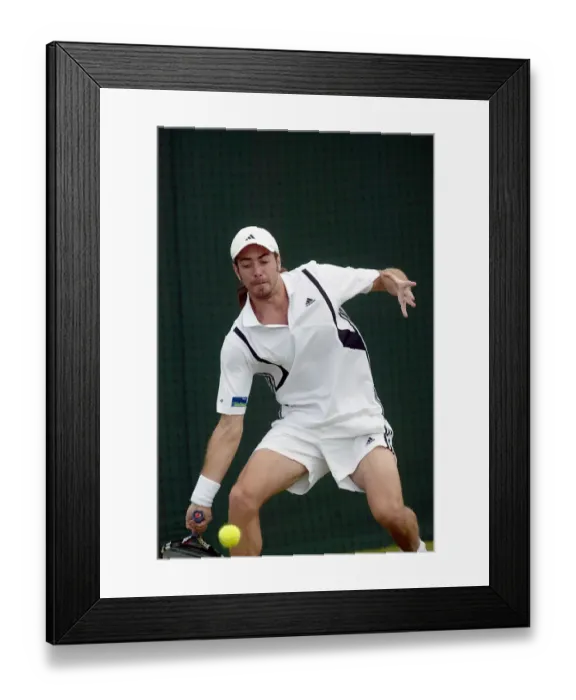 Framed Print : Nicolas Massu
