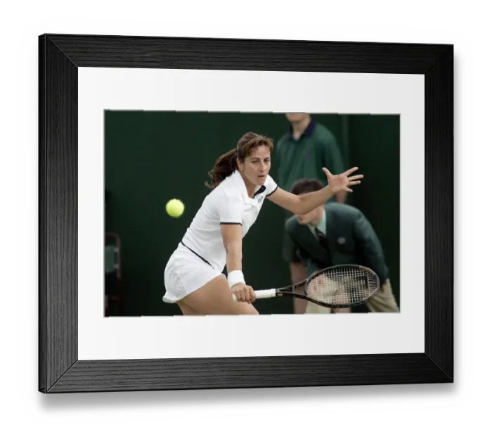 Framed Print : Sylvia Farina Elia