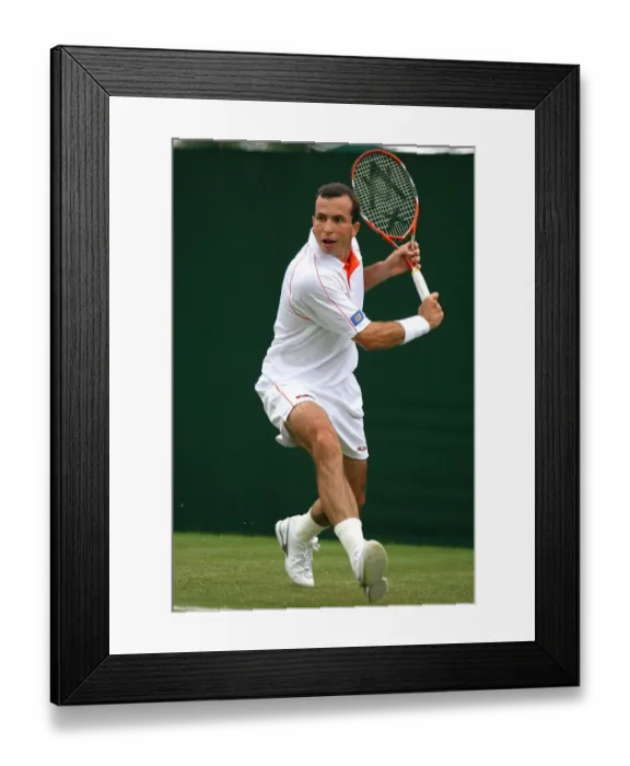 Framed Print : Radek Stepanek Framed Print : Radek Stepanek