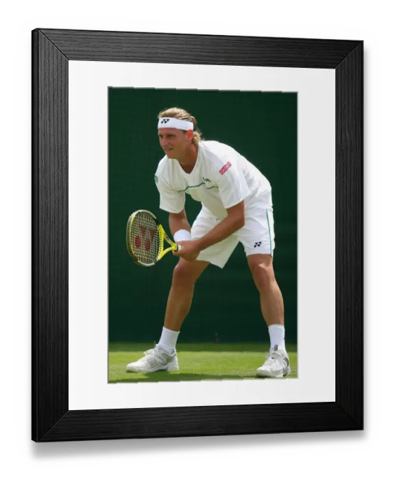 Framed Print : David Nalbandian Framed Print : David Nalbandian