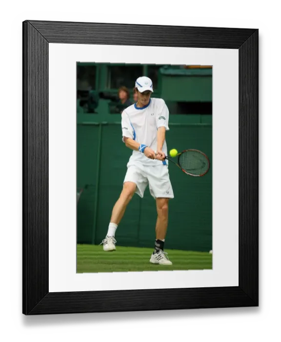 Framed Print : Andy Murray Framed Print : Andy Murray
