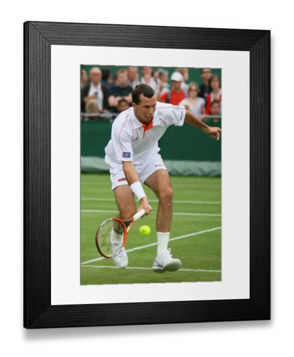 Framed Print : Radek Stepanek Framed Print : Radek Stepanek