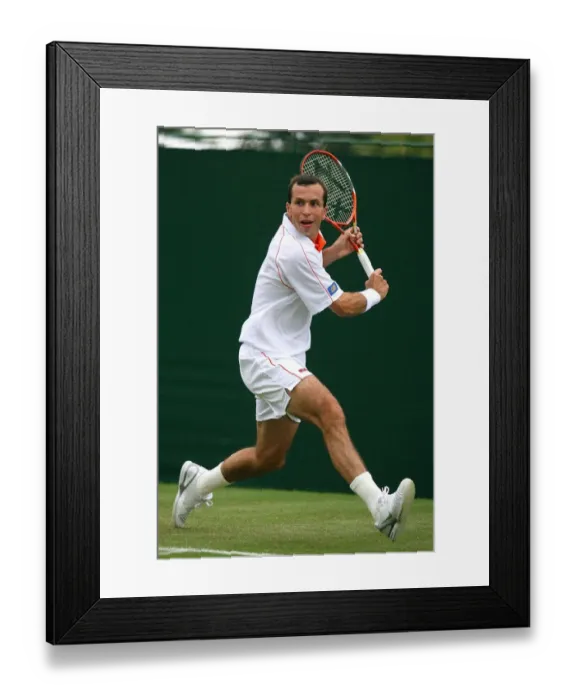 Framed Print : Radek Stepanek Framed Print : Radek Stepanek