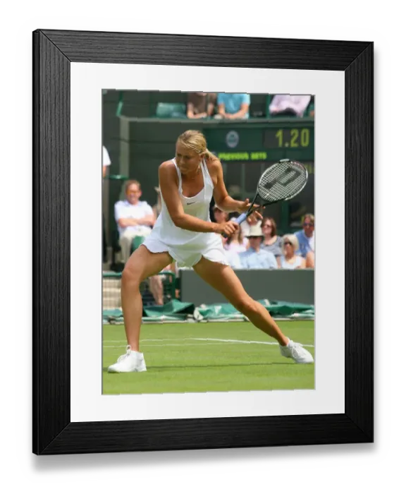 Framed Print : Maria Sharapova Framed Print : Maria Sharapova