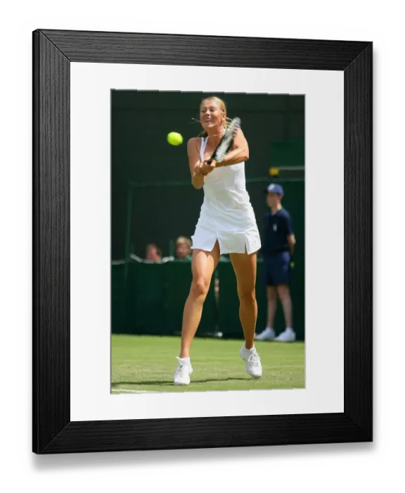 Framed Print : Maria Sharapova Framed Print : Maria Sharapova