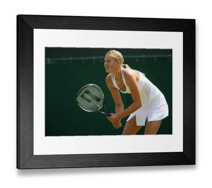 Framed Print : Maria Sharapova Framed Print : Maria Sharapova
