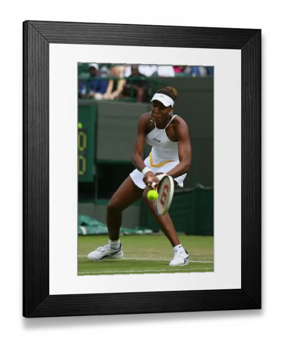Framed Print : Venus Williams Framed Print : Venus Williams