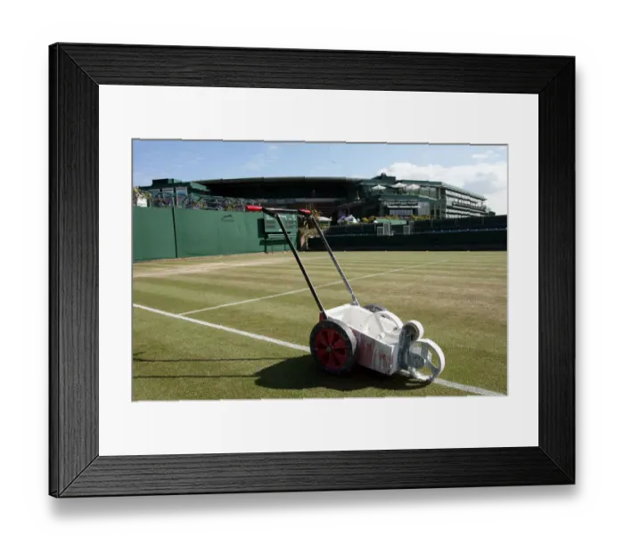 Framed Print : Court Marking Framed Print : Court Marking