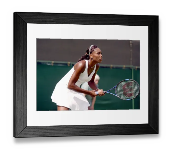 Framed Print : Venus Williams Framed Print : Venus Williams