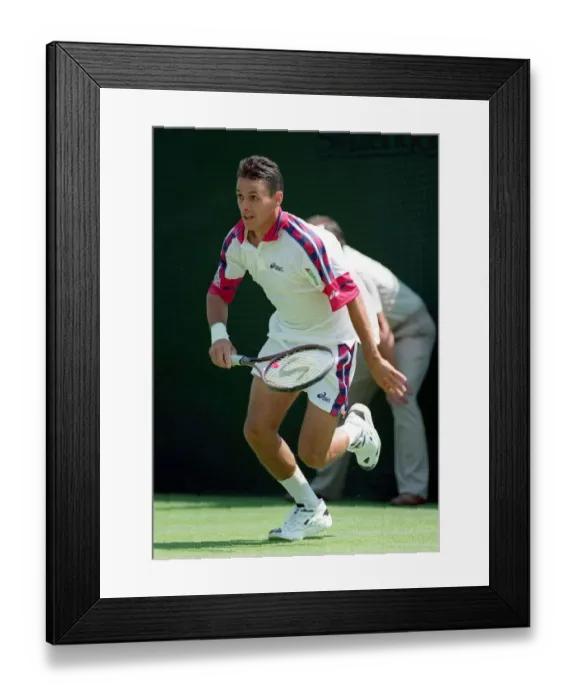 Framed Print : Daniel Nestor Framed Print : Daniel Nestor