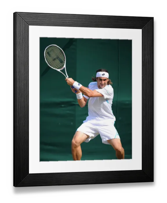 Framed Print : David Ferrer Framed Print : David Ferrer